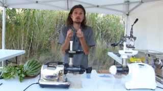 Tout sur les extracteurs de Jus !!! - www.regenere.org