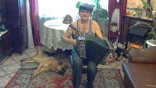 Друг ❤️ Трагическая песня под гармонь. Авторская песня╰❥ Играй гармонь любимая