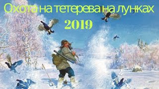 Охота на тетерева на лунках 2019_охота на тетерева из под снега!