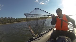 Черный Иртыш / рыбалка на границе с Китаем
