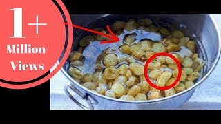 रात भर भीगे किशमिश के हैरान कर देने वाले फायदे Raisins Health Benefits of dryfruits in hindi