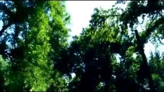 My Tashkent   Мой Ташкент  Менинг Тошкентим