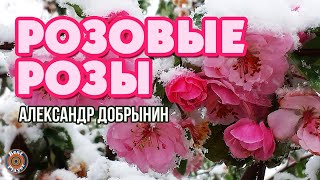 АЛЕКСАНДР ДОБРЫНИН - РОЗОВЫЕ РОЗЫ (Новый год 2020)