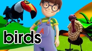 Alex educational cartoon preschool videos - Learning birds