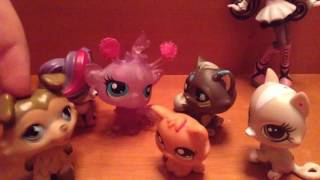 LPS short film петы против пони