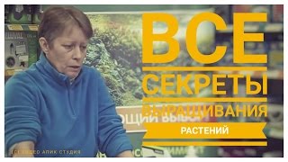 Все секреты выращивания аквариумных растений.