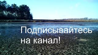 Прогулка в лес  Что сделали с Речкой Сельская жизнь