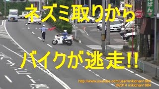 白バイ 緊急走行2連発!! スピード違反バイクがUターンして逃走する瞬間!!