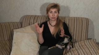 Как купить хорошую козу.