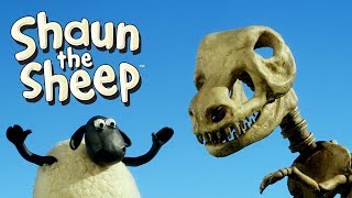 Fossils - Shaun the Sheep
