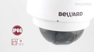IP  BEWARD BD133