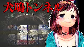【＊】絶対に行っちゃダメな場所に行ったらやっぱり行っちゃダメな場所だった【犬鳴トンネル】【ENG SUB】