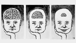 Reasons Why Intelligent People Can't Find Happiness