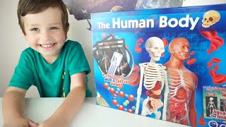 Детский Набор Анатомия Человека The Human Body by Science Museum Лаборатория Mark and Leo
