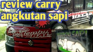 Suzuki carry 2019....angkut sapi