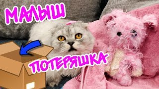 ЩЕНКИ ЕЛЕ ВЫЖИЛИ НА ПОМОЙКЕ!!! ПОМОГИТЕ! МАЛЫШ ПОТЕРЯШКА ДЛЯ СЛАДУНА