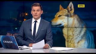 Волки атакуют деревню в Донецкой области