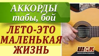 ЛЕТО-ЭТО МАЛЕНЬКАЯ ЖИЗНЬ - О.Митяев как играть на гитаре. Уроки игры на гитаре для начинающих