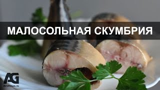 Как засолить скумбрию