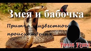 Змея и бабочка. Притча неизвестного происхождения. Читает не профи. Роман FISHKA