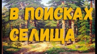 Поиск древнего селища