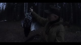 Охота на глухаря на току. Часть 2