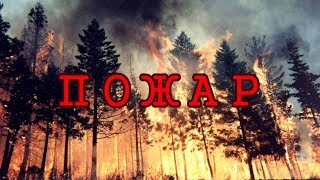 ШКОЛЬНИКИ УСТРОИЛИ ПОЖАР В ЛЕСУ