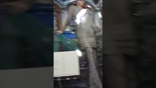 BD-07 , MARIA.B MBROIDERED Luxury Eid Collection 2017 Vol-2 – Moonlight & Dull Sea Green (BD-1107)