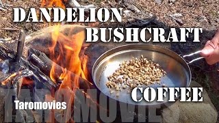 Bushcraft Dandelion Coffee / HD