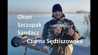 Piękny Zestaw | Okoń Szczupak Sandacz | Czarna Sędziszowska | Spinning z Arkiem (eng subs)