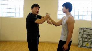 學詠春、學英文 Learn Wing Chun, Learn English Lesson 1-- 詠春基本理論 Some basic Wing Chun theories