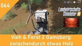 LS19 Vieh & Forst 2 Gamsberg  Lets Play #064 zwischendurch etwas Holz