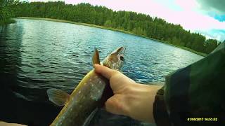 Рыбалка на воблеры Imakatsu Riprizer 110F, Foot Magic и Gekiasa. Fishing on Riprizer