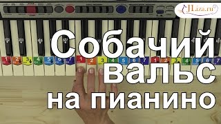 Как играть Собачий вальс на пианино