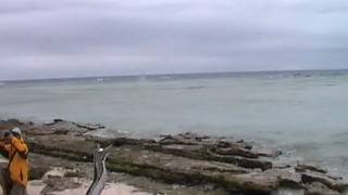 Lady Musgrave Island walk