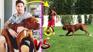 FÚTBOL VINES 2018 | HUMILLACIONES, JUGADAS, LUJOS, GOLES & MAS.... #15