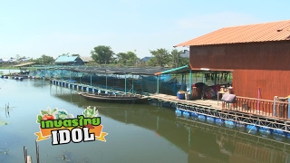 เกษตรไทยไอดอล l EP.89 ตอน อนุบาลปลาช่อน 20 ก.พ.60