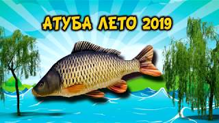 река Ахтуба лето 2019