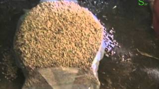 CAMAS DE PELLET PARA CABALLOS | PELLET SUR