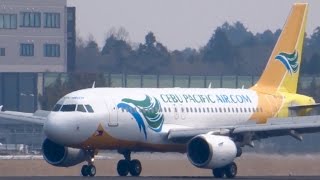 うわっ‼︎短っ‼︎激レア？セブA319飛来‼︎  CEBU PACIFIC[RP-C3194]NRT34R Landing