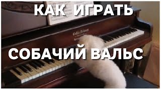 Как сыграть собачий вальс на пианино для начинающих