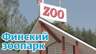 Финляндия: Зоопарк в Китии (центральная Финляндия)
