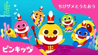 うみのパレード | サメのかぞく | ちびザメとうたおう | ピンキッツ童謡