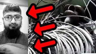 Distribution line conductor in bangla.