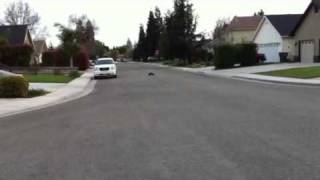 BZM-Micro 40cc Bizeta in a HPI baja 5t. On Location Upload
