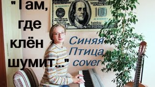 Там, где клён шумит Синяя Птица cover
