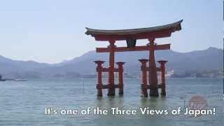 Hiroshima and Miyajima Day Trip!