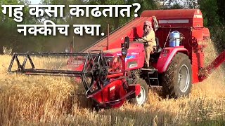 गहु कसा काढतात बघा|गहू काढणी यंत्र|Gahu|गेहु|harvester|gehu
