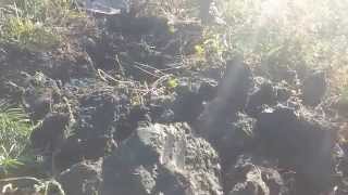 Bad soil (Россошанский район Воронежской области)