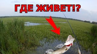 РЫБАЛКА НА ФУТБОЛЬНОМ ПОЛЕ или где живет трофейная щука?! и тюнинг воблера рыбалка на севере #3